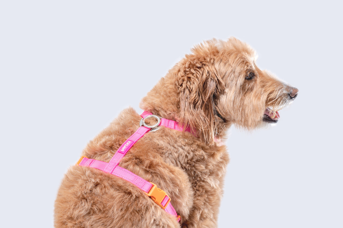 Vortex Aria Magnetic Harness & Leash Set - Flamingo Pink
