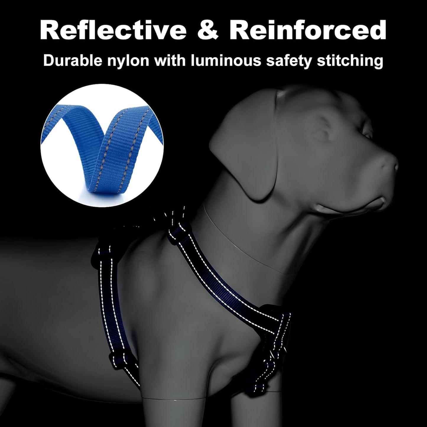 Vortex Aria Magnetic Harness & Leash Set - Bahama Blue