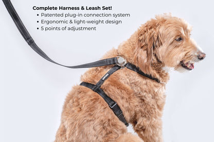 Vortex Aria Magnetic Harness & Leash Set - Midnight Black