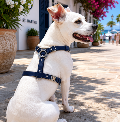St. Barks Premium Leather Harness & Leash Collection