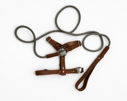 St. Barks Premium Leather Harness & Leash Collection