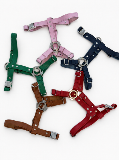 St. Barks Premium Leather Harness & Leash Collection