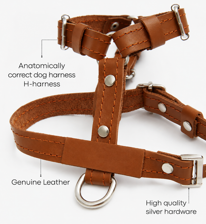 St. Barks Premium Leather Harness & Leash Collection