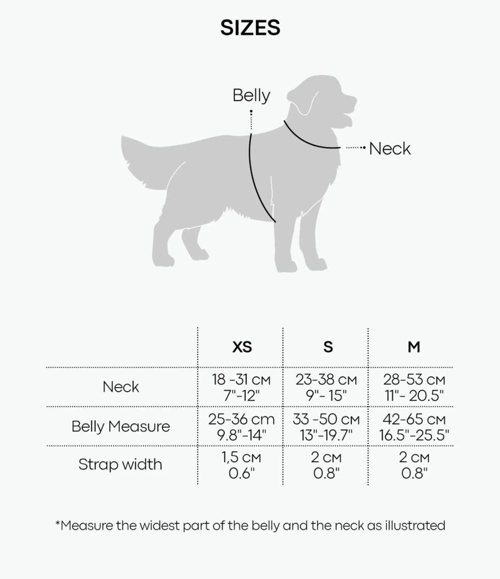 St. Barks Premium Leather Harness & Leash Collection