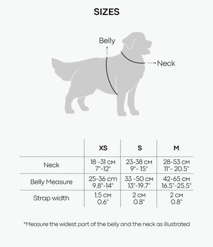 St. Barks Premium Leather Harness & Leash Collection