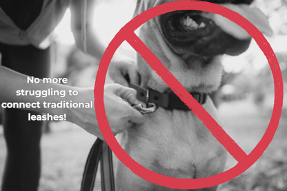 Vortex Aria Magnetic Harness & Leash Set - Midnight Black