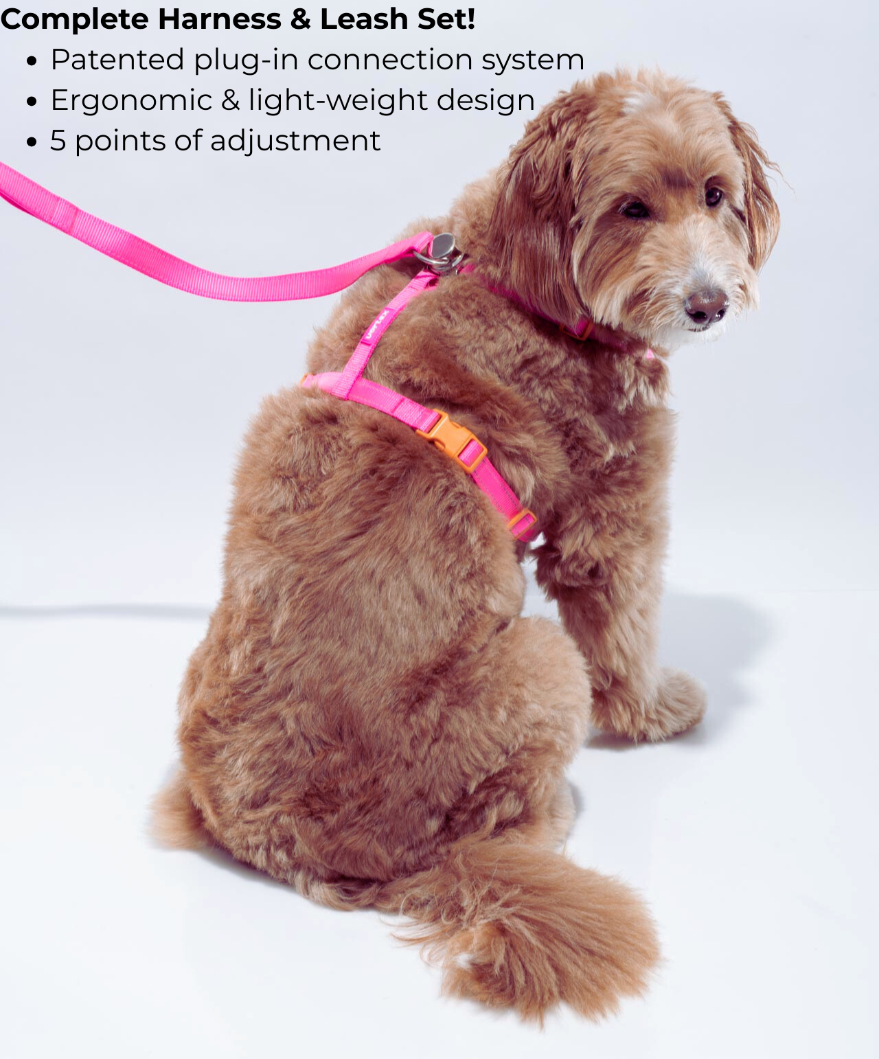 Vortex Aria Quick- Click Harness & Leash Set - Flamingo Pink