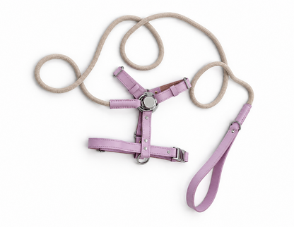 St. Barks Premium Leather Harness & Leash Collection