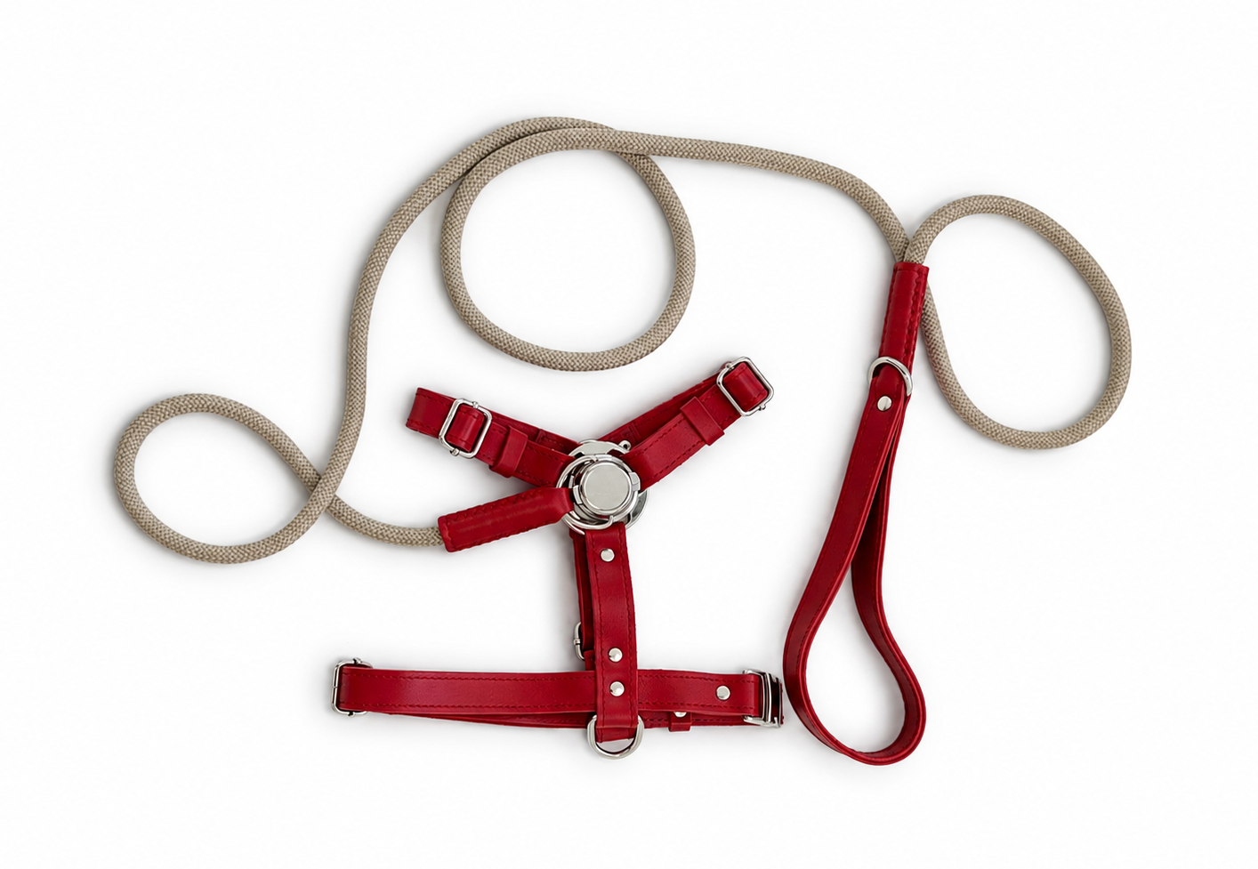 St. Barks Premium Leather Harness & Leash Collection