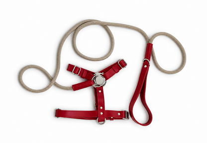 St. Barks Premium Leather Harness & Leash Collection