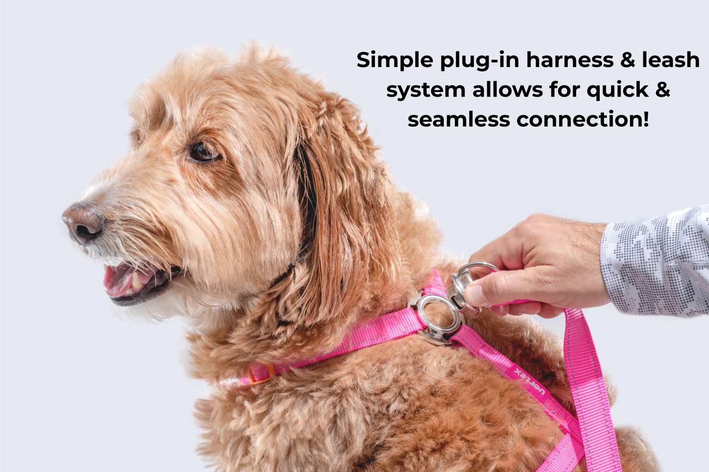 Vortex Aria Magnetic Harness & Leash Set - Midnight Black