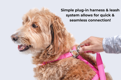 Vortex Aria Magnetic Harness & Leash Set - Midnight Black