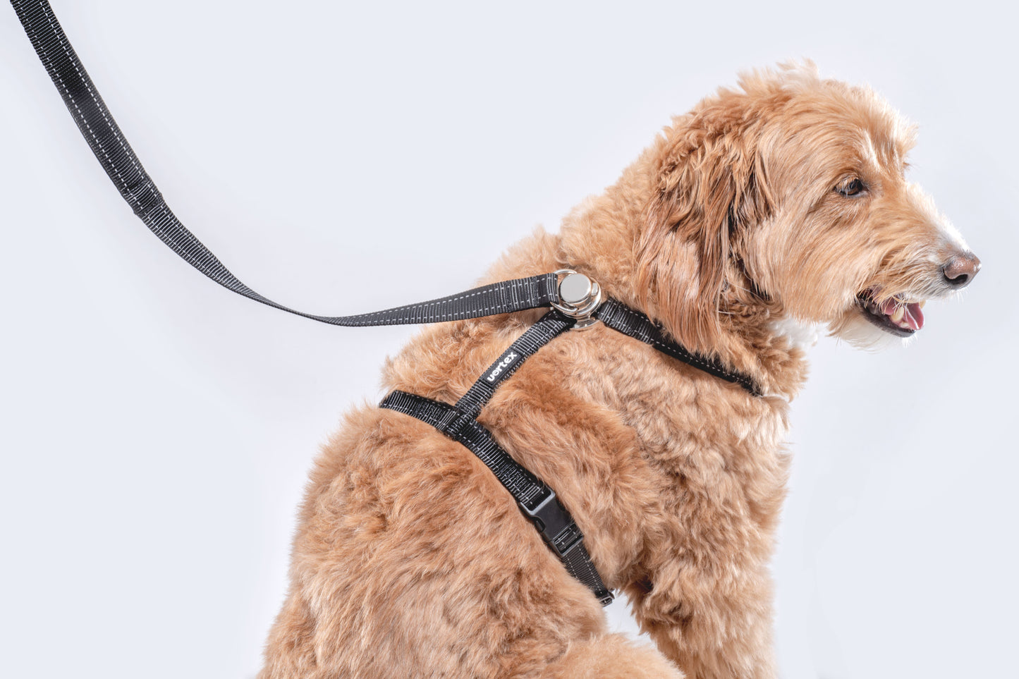 Vortex Aria Magnetic Harness & Leash Set - Midnight Black