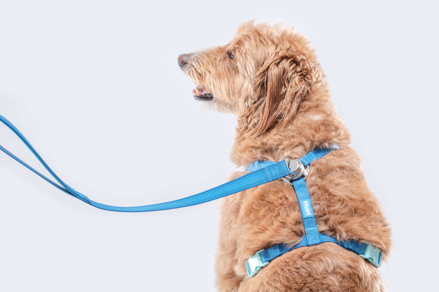 Vortex Aria Magnetic Harness & Leash Set - Midnight Black