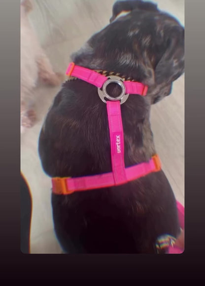 Vortex Aria Magnetic Harness & Leash Set - Midnight Black