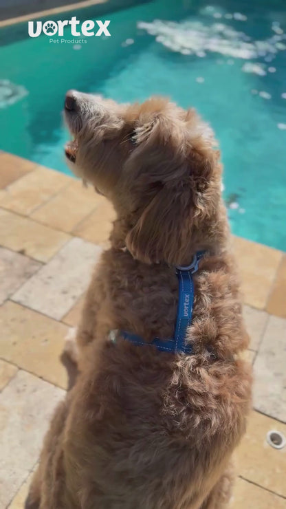 Vortex Aria Magnetic Harness & Leash Set - Midnight Black