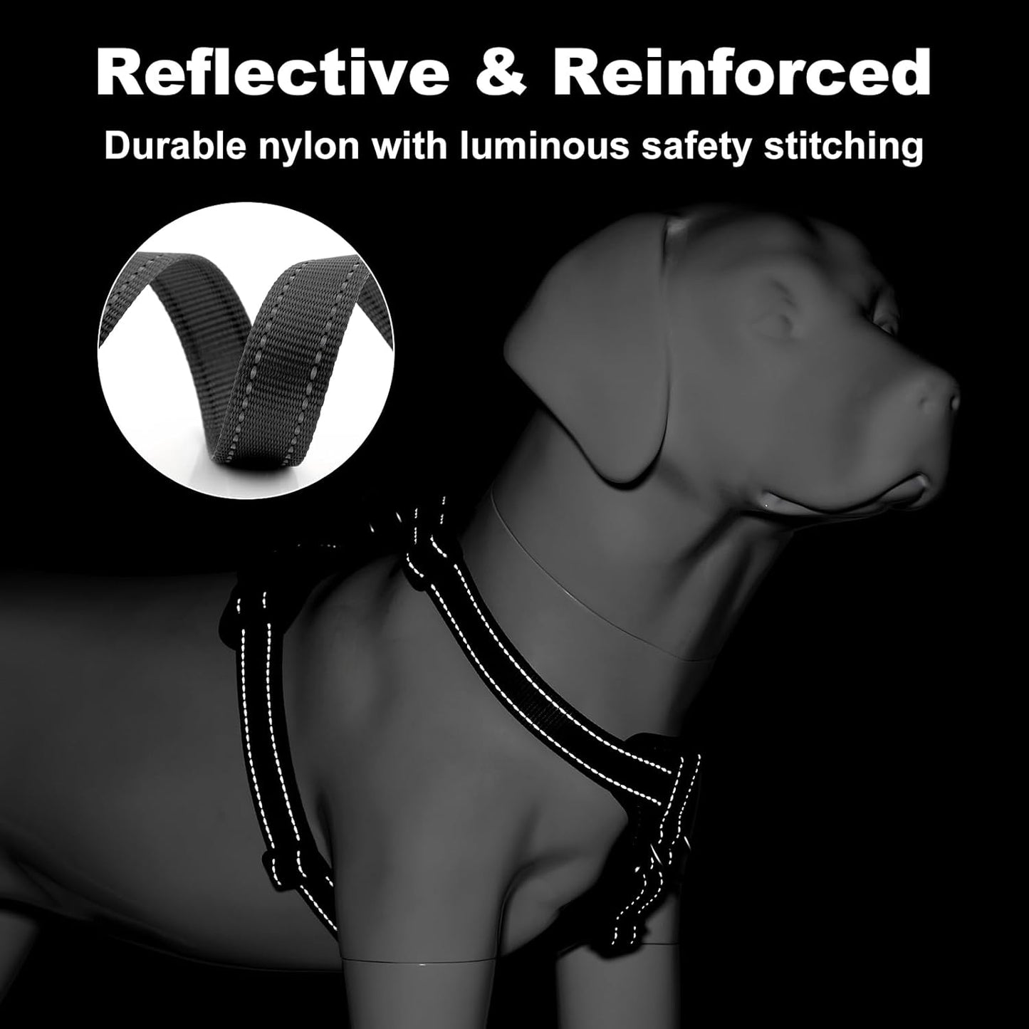 Vortex Aria Magnetic Harness & Leash Set - Midnight Black