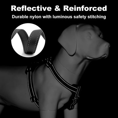 Vortex Aria Magnetic Harness & Leash Set - Midnight Black